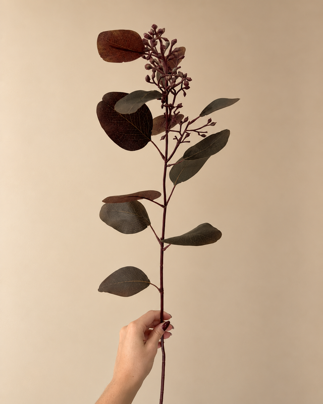 Eucalyptus Seed Spray | De warme basis voor ieder herfstboeket.