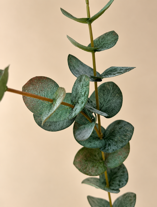 Eucalyptus Spray | De groene basis die ieder boeket compleet maakt.