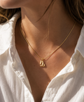 Ketting sterrenbeeld - Steenbok