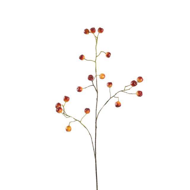 Figwort | Een kleurrijke bessentak voor de mooiste herfstboeketten.