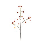 Figwort | Een kleurrijke bessentak voor de mooiste herfstboeketten.